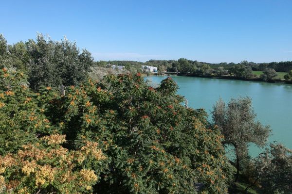 A tó és környéke