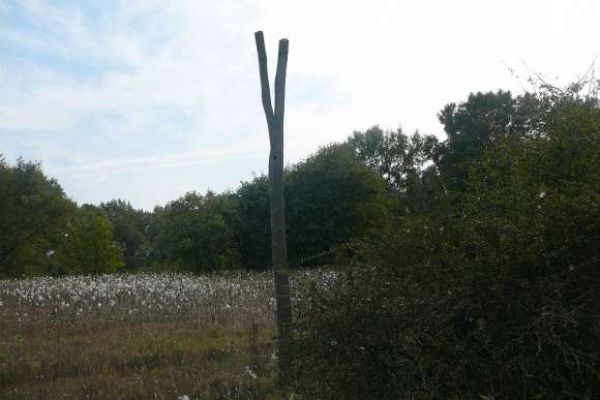 A pusztavacsi erdőgazdaság vaditatója