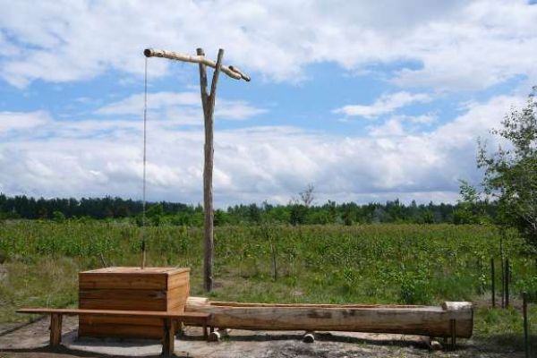 A pusztavacsi erdőgazdaság vaditatója