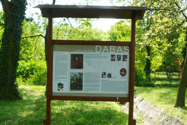 A dabasi Rákóczi-tölgy