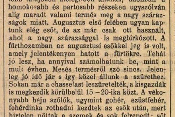 Szepsy Boldizsár gazdatiszti tevékenysége