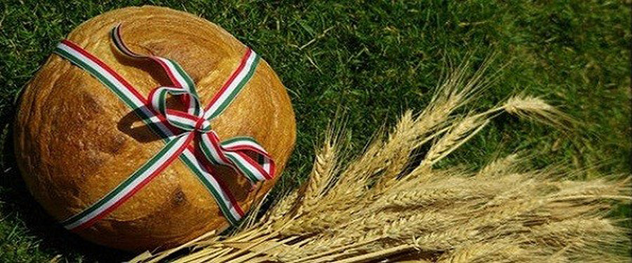 Augusztus 20-a Sáriban