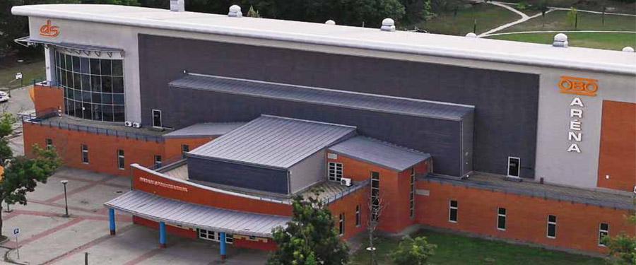 A DABASI SPORTCSARNOK 10 ÉVE - II.