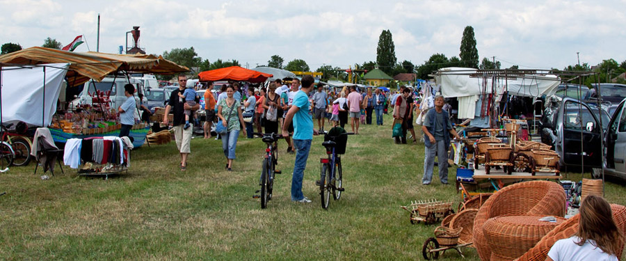 Ló- és kutyaárusítás megszüntetése!