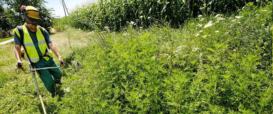 Tisztelt termőföld Tulajdonosok/Használók!