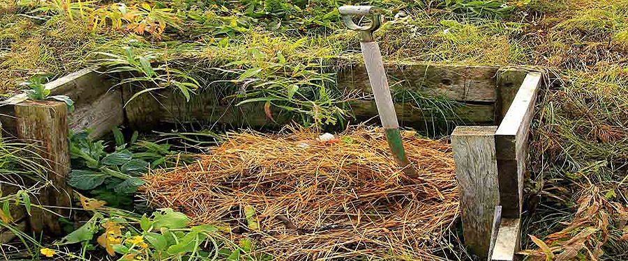 Házi komposztálás