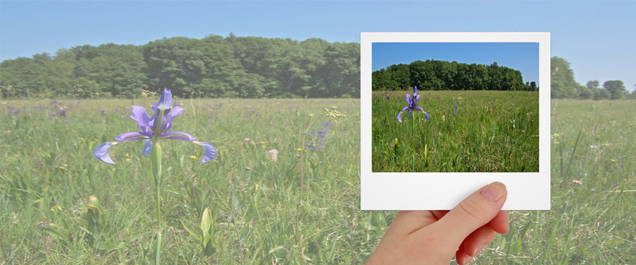 Természeti értékek